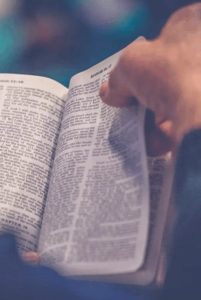 bible reading